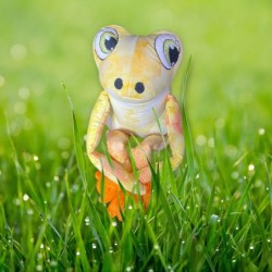 Petite Grenouille Câline...